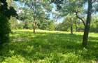 Teren extravilan, 10000 mp, Vicovu de Sus - 1