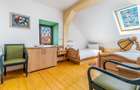 HOTEL Karol | Resedinta istorica, colectie de arta si patrimoniu - 22