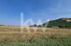 Teren Intravilan i Industrial I 2.000 mp – Brasov, Str Carierei - 7