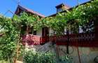 Resedinta vacanță in mediu rural  intravilan  - 3