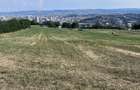 Oportunitate de investiție Teren intravilan, 3150 mp , Panoramic , Dambu Rotund - 5