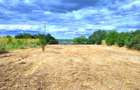 Teren intravilan 1.600 mp Crevedia | Deschidere lac | Ideal dezvoltare - 4