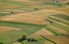 Achizitionam Teren Extravilan Agricol Arad Judet Arad - 1