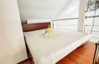 1 camera, loft, modern, proaspat renovat, curte, Grigorescu, Donath - 3