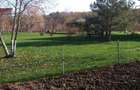 Ciopani vila 5 camere teren 4000 mp - 7
