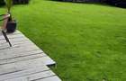 Afacere la cheie, teren 3200 mp, 820 mp utili, zona Feleac - 9