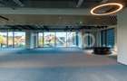 Birouri premium in Sibiu–Spatii flexibile moderne pentru companii - 14