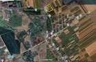 Ferma- spatiu comercial de vânzare Vitanesti -Teleorman - 9