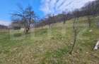 Teren intravilan generos de 4000 mp, cu priveliște montană, Cugir - 4