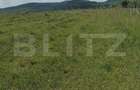 Teren De Vanzare Sesul Jelni, 5 Hectare - 1