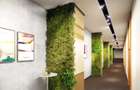 Spatiu comercial modern, 320mp, zona Grigorescu - 3