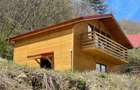 Cabana Dacilor de la Costesti