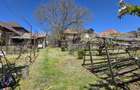 Nazna | Casă + 2900 mp teren - 13