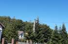 OPORTUNITATE: 4.400 mp la marginea PADURII, langa VILE NOI, toate UTILITATILE - 2