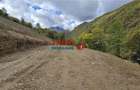 Teren Intravilan de Vanzare in Zona Turistica Ramet - 8