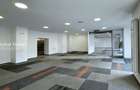 Spatiu Comercial | Central | Banu Manta | Nicolae Titulescu - 4