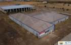 Inchiriere sau vânzare hală Banat Business Park - 2