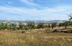 Teren intravilan de vanzare, 1400 mp, zona Zavoi - 2