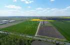 COM 0% Parcela cu deschidere la DN69, hale, servicii | Sanandrei - 2