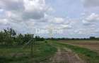 Teren Extravilan de Vânzare – Mărăcineni, Sat Argeșelu - 3