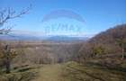 Teren intravilan generos 3.206 mp în Remecioara | Priveliște deosebită - 1