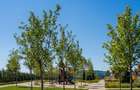 APARTAMENT 3 CAMERE - FINISAJE PREMIUM- GATED COMMUNITY - 13