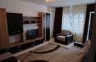 Apartament 2 camere de vanzare Gorjului - 2
