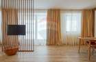 APARTAMENT CU GRADINA 288 MP | 4 CAMERE, 2 BUCATARII | DRUMUL POIENII - 29