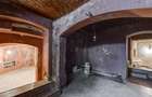 REC3001678 Spatiu comercial Cismigiu - 5