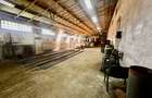 Hală industrială de vanzare - COMISION 0% CUMPARATOR - 11