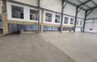 Spatiu Comercial in Centru Comercial - Zona Traian Vuia - Parcare - 15