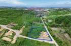 Teren intravilan de vânzare – 4.000 mp, Vișan - 1