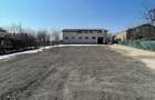Hala 595 mp + teren 1500 mp Frumusani ( stradal ) - 5