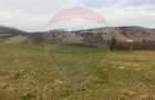 Teren generos 3400 mp în Pâclișa – Criseni zona linistita - 4