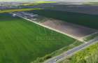 COM 0% Teren industrial pretabil hale, servicii | DN69 Sanandrei - 4
