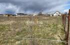Teren de vanzare Dumbrava Rosie 20.000 Euro 900mp - 11