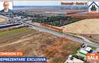 Teren 20k mp intravilan situat intre centura si A0 - Berceni IF - 5