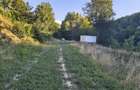 Teren intravilan de vanzare in padure Cisnadioara - 5