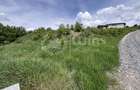 Comision 0% Teren intravilan 959mp | Front 40m| Str. Viorelelor Dezmir - 4