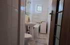 Apartament 1 camera Podul de Fier - 2