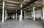 Hală industrială 3.600 mp cu acces cale ferată – Buftea - 7