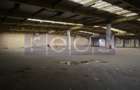 HALA | DEPOZIT - OTOPENI CENTURA  |  20.0000 MP - 19
