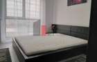 Inchiriere ap 2 cam Complez Exigent Plaza, faza 2-Pet Friendly-Lujerului - 5