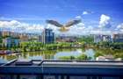 Apartament de lux|2 camere|Park Lake/Iulius Mall Cluj - 1