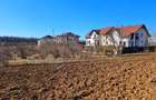 Teren intravilan 13175mp utilitati Ciolpani Strada Alunisului - Padurea Snagov - 2