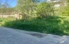 Teren 1000-2000mp intravilan in Gradina Botanica Iasi, 200€/mp, utilitati - 6