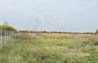 Teren Intravilan 1300 mp / Extravilan 3.700 mp/ DJ 196B Carei (DN 1F) – Foieni - 4