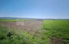 Teren de 8700 mp - extravilan - Bod, Brasov - 3