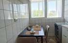 Lacul Tei-Parcul Circului, apartament 2 camere la intrarea in parc - 14