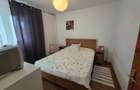 Dristor, 5 minute metrou, mall Park Lake si parc IOR, pe Ramnicul Sarat - 12